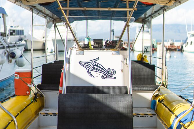 2.5 Hour Whale Escape Tour - Who will enjoy this whale watch most?