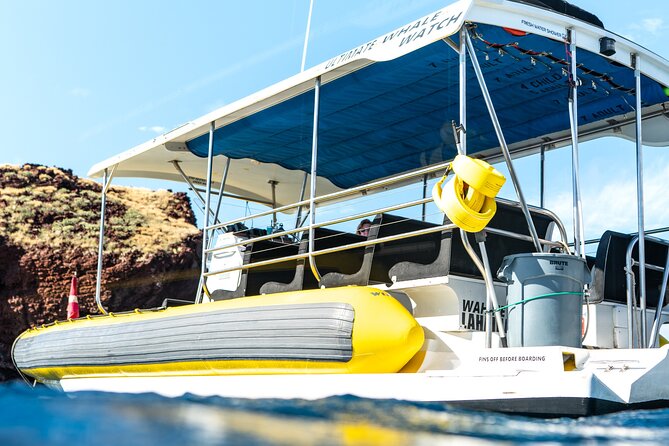2.5 Hour Whale Escape Tour - Searching from 2 to 10 miles offshore