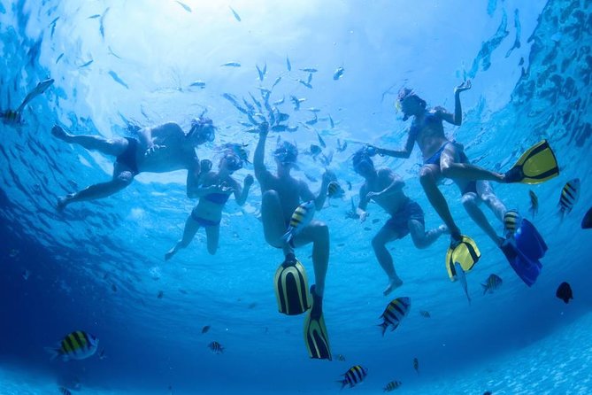 2.5 Hour Xpress Snorkel from Ka’anapali Beach - Why Mala Wharf makes a strong snorkel stop