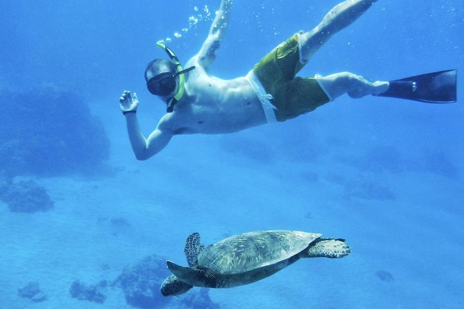 2.5 Hour Xpress Snorkel from Ka’anapali Beach - A short ride instead of a long morning at sea