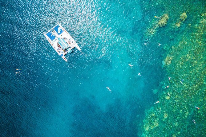 2.5 Hour Xpress Snorkel from Ka’anapali Beach - What you see beneath the surface