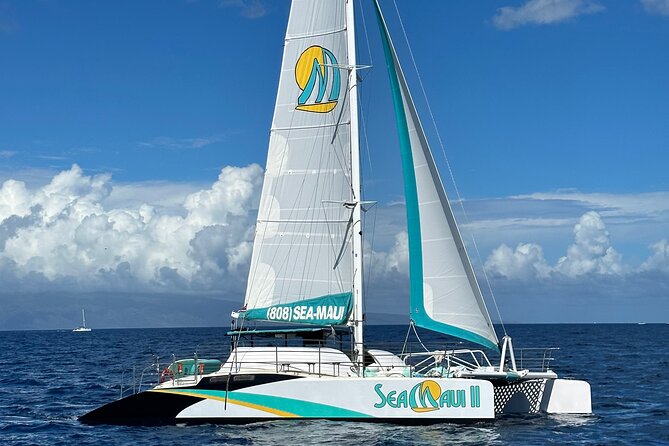 2.5 Hour Xpress Snorkel from Ka’anapali Beach - Why the express format is useful