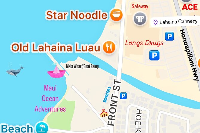 2 Hour Afternoon Lahaina Whale Watch - The boat, shade, and the honest comfort check
