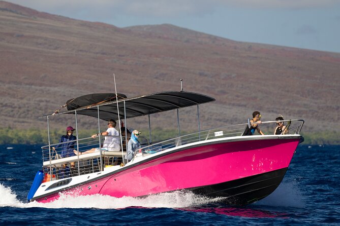 2 Hour Afternoon Lahaina Whale Watch - Who will like this two-hour outing