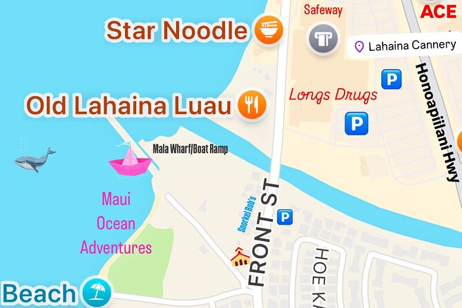 2 hour Lahaina Sunrise Whale Watch - Practical details that can make or break the morning