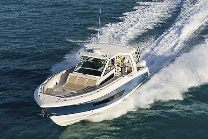 2-Hour Ma'alaea Humpback Whale Watching Cruise for up to 6 Guests - Choose your timing with care