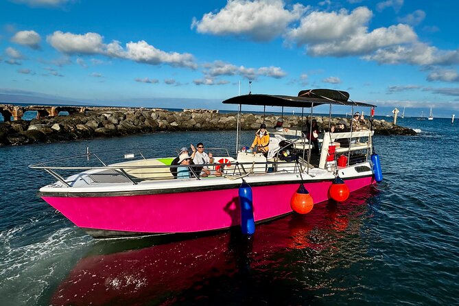 2 Hour Prime Time Maui Whale Watching - Value, timing, and who should choose it