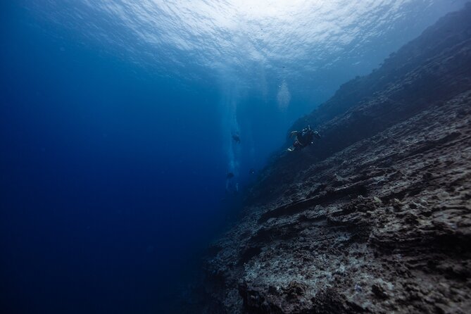 2-Tank Dive Featuring the Molokini Crater - Why Molokini Crater makes a strong morning outing