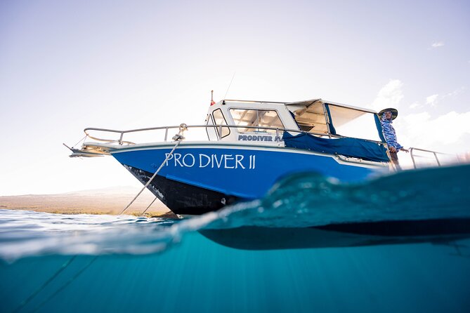 2-Tank Dive Featuring the Molokini Crater - A boat trip designed for certified scuba participants
