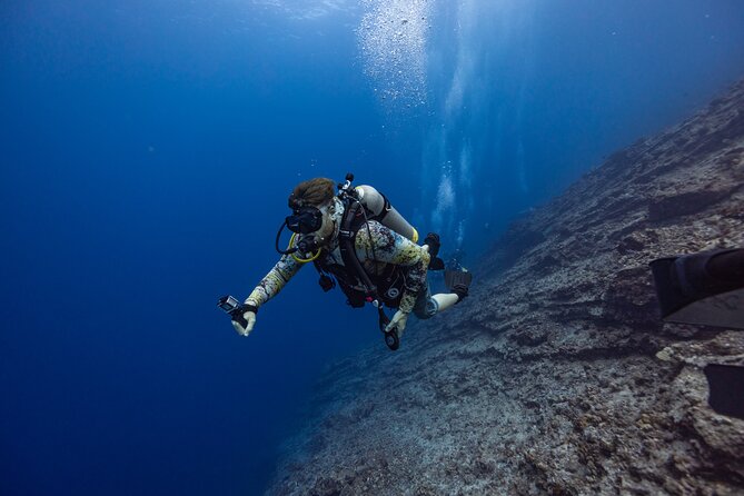 2-Tank Dive Featuring the Molokini Crater - Snacks, drinks, and a short three-hour schedule