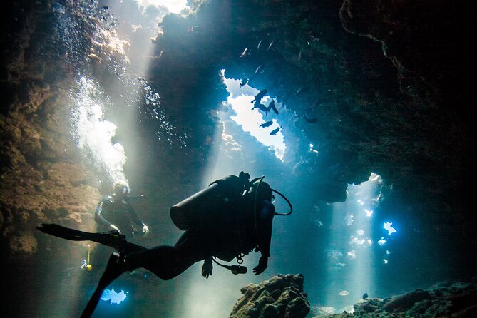 2 Tank Lanai Cathedral Scuba Dive Via Boat for Certified Divers - Key points before you book