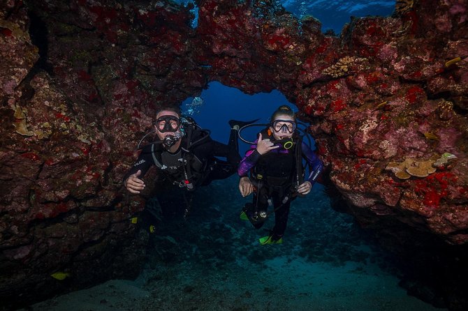 2 Tank Lanai Cathedral Scuba Dive Via Boat for Certified Divers - The surface interval and second session