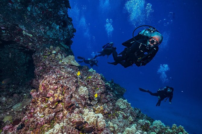 2 Tank Lanai Cathedral Scuba Dive Via Boat for Certified Divers - Safety and the quality of instruction