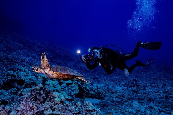 2 Tank Lanai Cathedral Scuba Dive Via Boat for Certified Divers - How the $306.89 price measures up