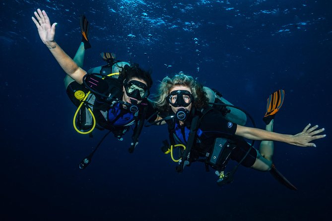 2-Tank Maui Turtle Scuba Dive or Snorkel Boat Tour - Is $245.48 a fair price?