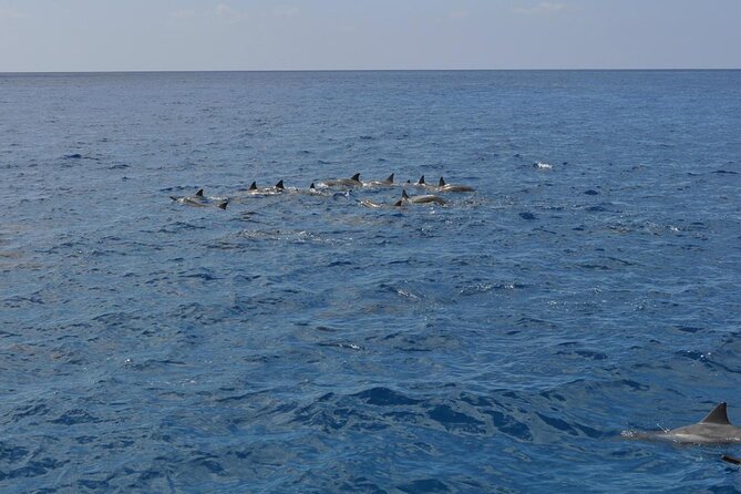 3-Hour Small-Group Maalaea Luxury Snorkel Cruise Tour - McGregor Point and the lighthouse viewpoint