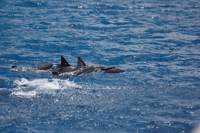 3-Hour Small-Group Maalaea Luxury Snorkel Cruise Tour - Sailing by Molokini Crater