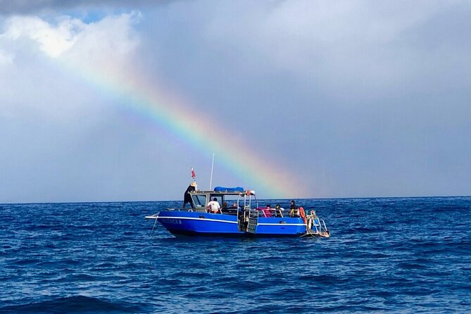 3-Tank Dive Featuring the Molokini Crater - The first stop at Molokini Crater