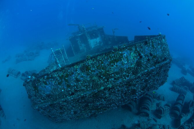3-Tank Dive Featuring the Molokini Crater - Is $375 a fair price?
