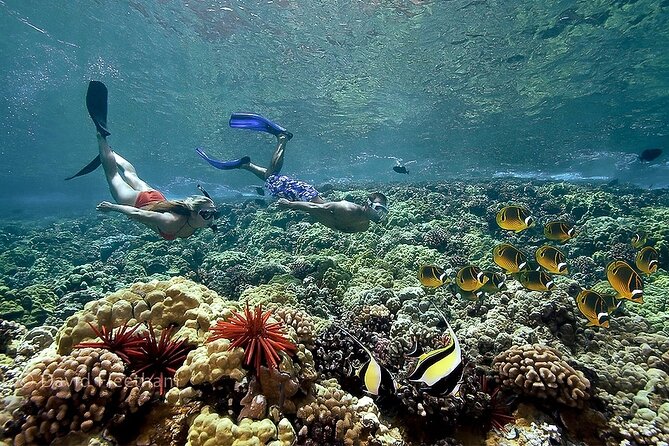 4-Hour Koa Kai Molokini Adventure Snorkel - How the crew shapes the experience