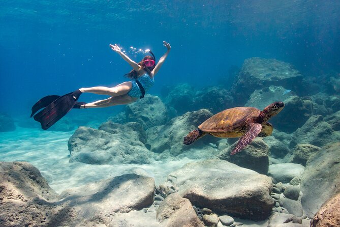 4 hour Private Custom Kayak Tour Lahaina - Getting started at 832 Olowalu Village Road