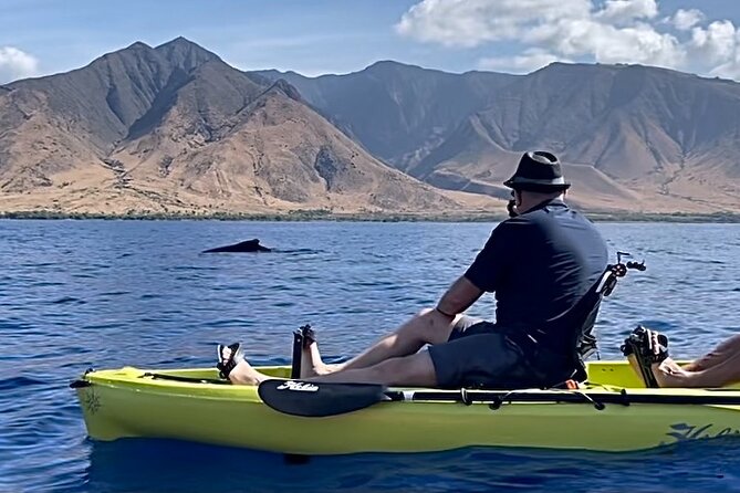 4 hour Private Custom Kayak Tour Lahaina - Why the private format changes the experience