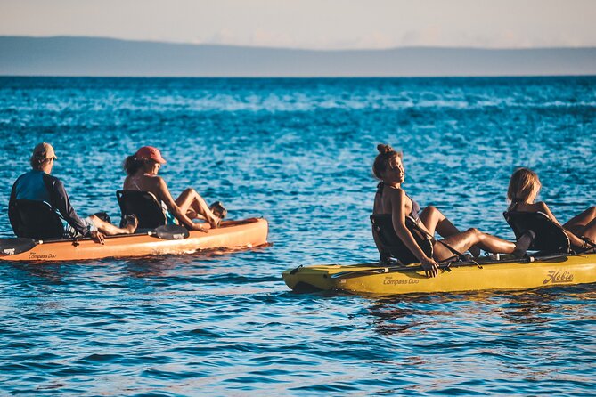 4 hour Private Custom Kayak Tour Lahaina - Pedal kayaks, family comfort, and effort