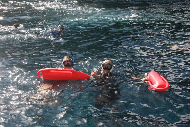 5 Hour Molokini Snorkel & Turtle Tour in Maui - Coral Forest and the value of several short stops