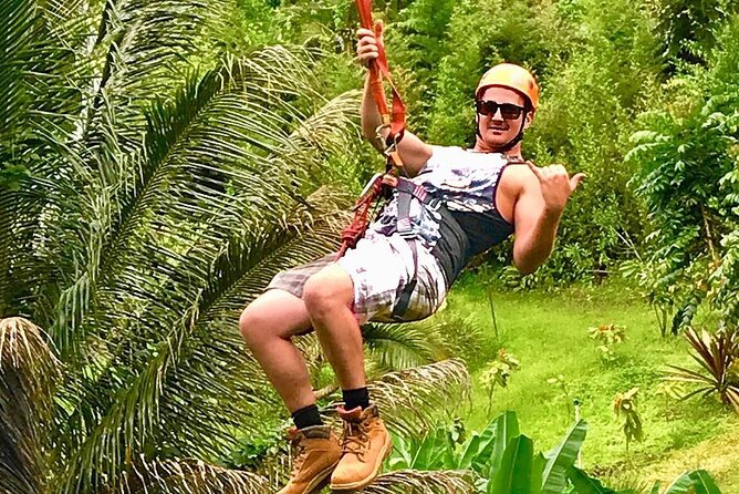 5 Line Jungle Zipline Eco Adventure - The hanging bridge and the farm details