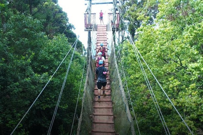 6 Dual-Zipline Mountain Adventure in Maui - Who will enjoy this most?