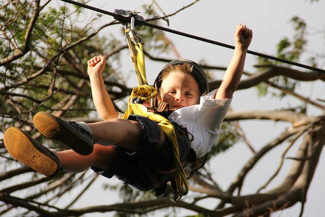 7-Line Maui Zipline on the North Shore - The suspension bridge and aerial obstacles