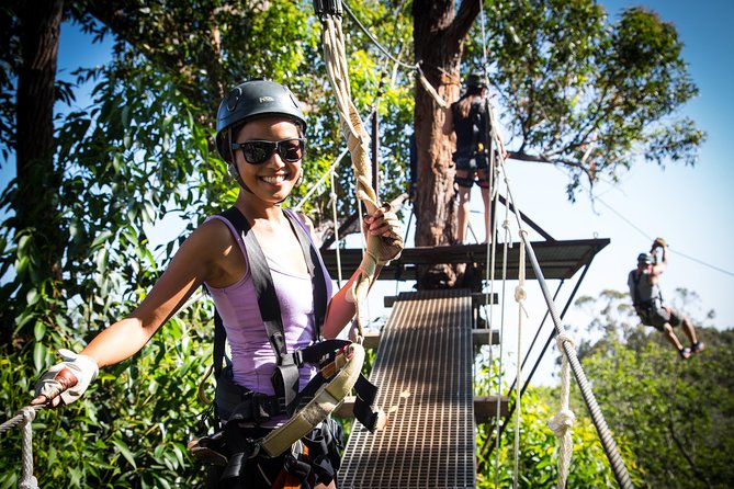 7-Line Maui Zipline on the North Shore - Price, duration, and group size