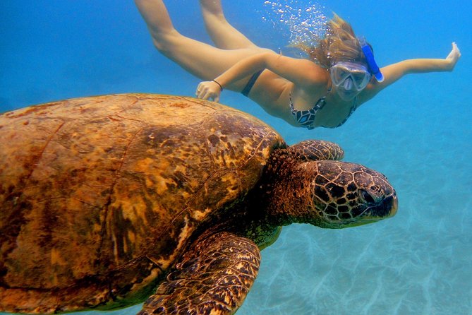 Afternoon Adventure Snorkel from Ka'anapali - Starting at Ka’anapali Beach at 2 p.m.