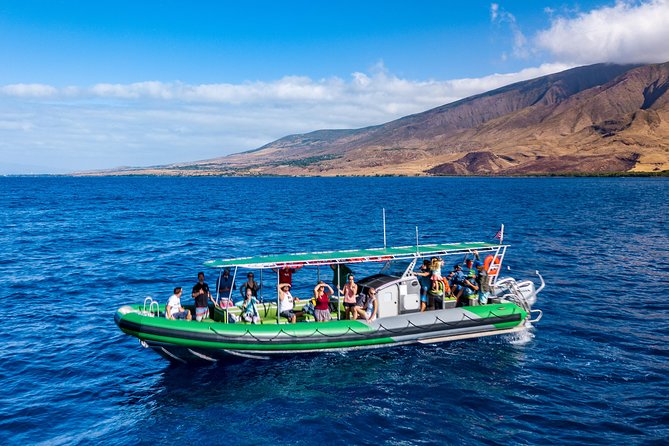 Afternoon Adventure Snorkel from Ka'anapali - Why the in-water guide matters