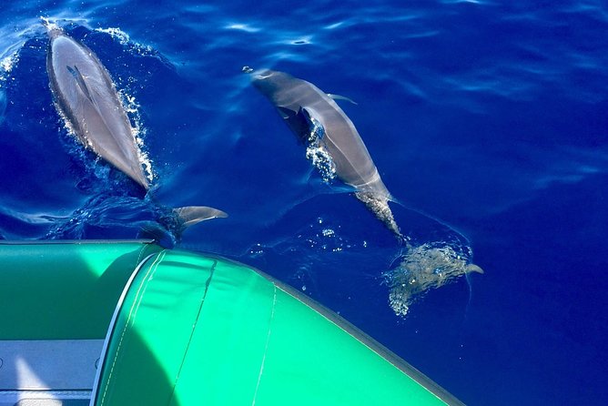Afternoon Adventure Snorkel from Ka'anapali - Who should book this afternoon outing?