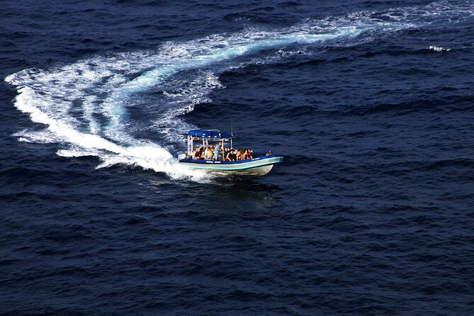 All-Inclusive 5.5 hr La Perouse Bay & Molokini Sea Cave Boat Tour - Breakfast, lunch, drinks, and the practical details