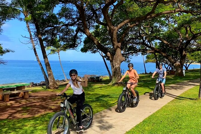 Aloha West Maui 2-Hour Self-Guided Electric Bike Tour - Who will get the most value from this ride