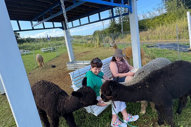 Alpaca Farm Experience on the Road to Hana - Farm snacks that make the stop feel local