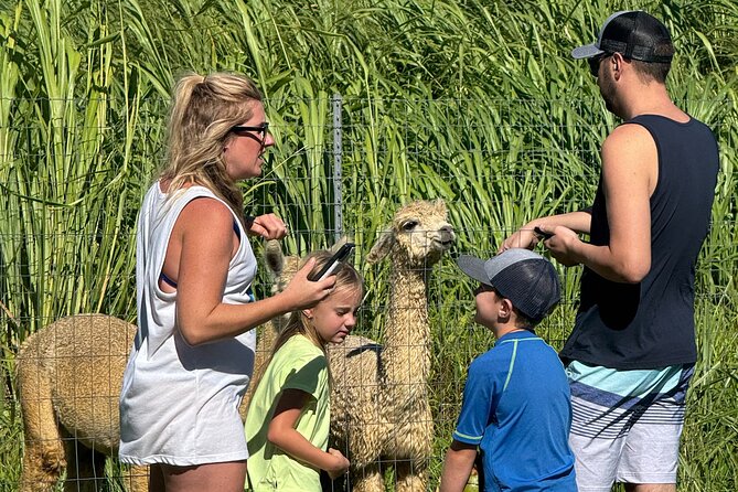 Alpaca Farm Experience on the Road to Hana - Why the private format matters