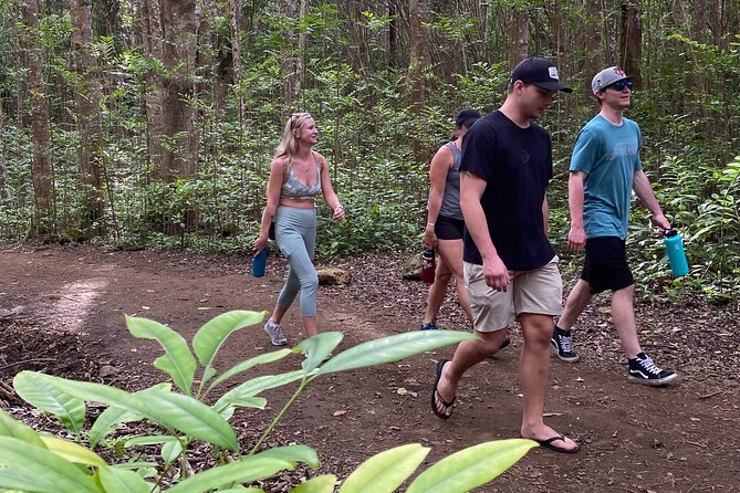 Amazing Maui Ridge Hike - Is $159 a fair price?