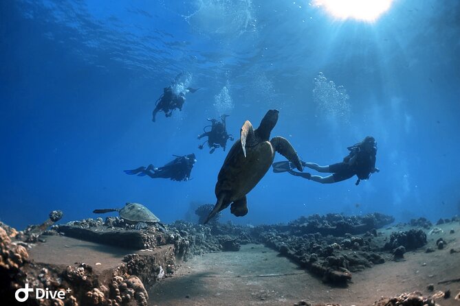 Beginner Scuba Dive in Lahaina: Swimming Required - What happens at Kahekili Beach Park