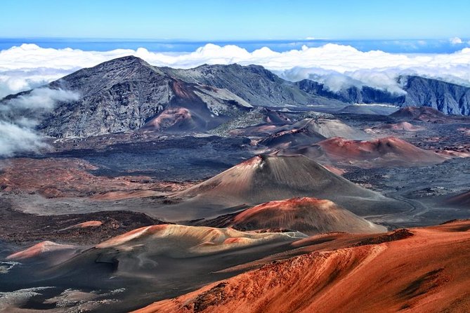 Best of Maui Tour: Sips, Sites and Bites with Lunch - The guide turns a long van ride into an island lesson