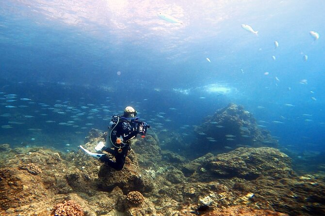 Certified Divers! Scuba dive the Ka'anapali Coast and more! - Why the six-person limit matters