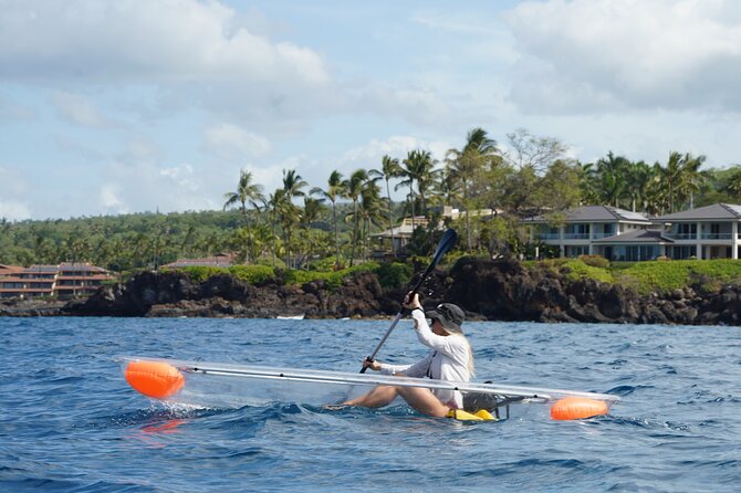 Clear Bottom Glassy Kayak Rental | MAUI | Safe and Stable Kayaks - Why the clear bottom changes a Maui kayak outing