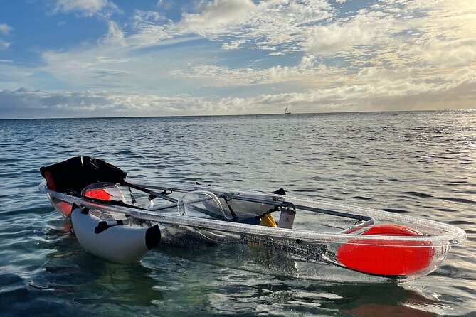 Clear Bottom Glassy Kayak Rental | MAUI | Safe and Stable Kayaks - What you may see beneath the kayak
