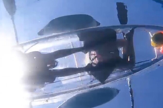 Clear Bottom Glassy Kayak Rental | MAUI | Safe and Stable Kayaks - Small details that make the rental easier