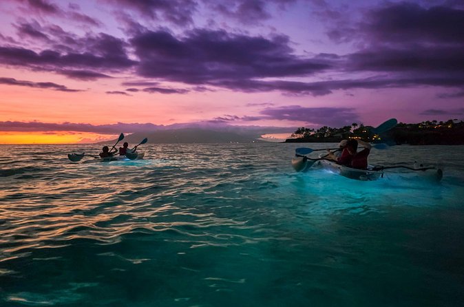 Clear Kayak Sunset and Glow Tour in Maui - When the LED lights reveal the nighttime reef