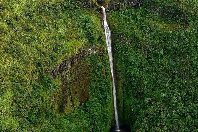 Complete Island 60-Minute Helicopter Tour - What the pilots add to the hour