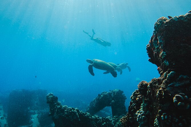 Coral Gardens Coastal Snorkel & Sail - Who Should Book This Maui Sail