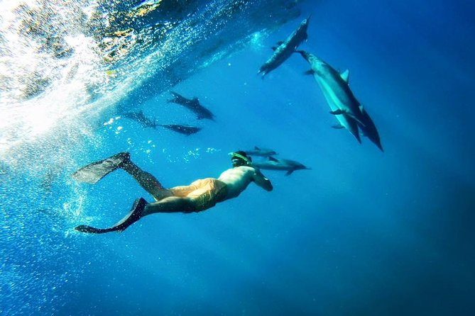 Coral Gardens Coastal Snorkel & Sail - Coral Gardens, or the Best Water Available That Day